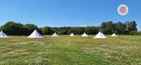 Dorset Glamping Fields Luxury tent in Poole