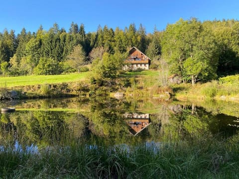 Natural landscape
