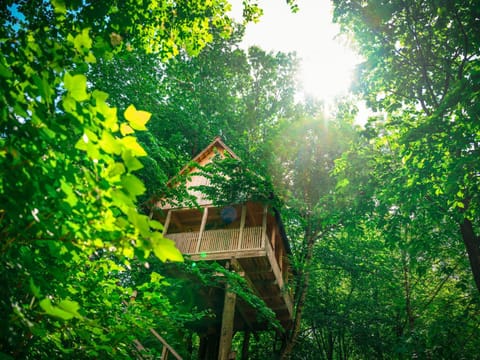 Garden Village Bled Luxury tent in Bled