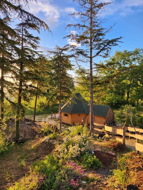 Garden, View (from property/room)