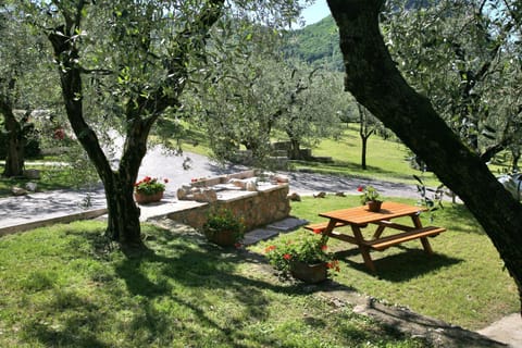 Natural landscape, BBQ facilities, Garden, Garden view