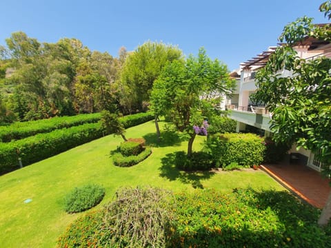 Garden view