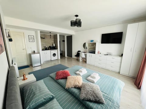 Bed, TV and multimedia, Kitchen or kitchenette, Living room, Photo of the whole room, Bedroom, minibar