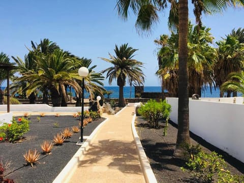 Garden, Sea view