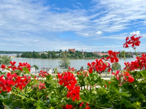 Nearby landmark, Spring, Day, Natural landscape, City view, Lake view