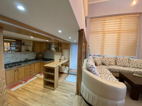 Kitchen or kitchenette, Living room, Lounge or bar, Seating area, Dining area