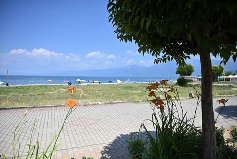 Natural landscape, Beach