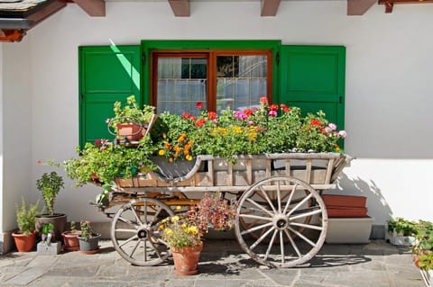 Ginepro Casa Vacanze Apartment in Madesimo