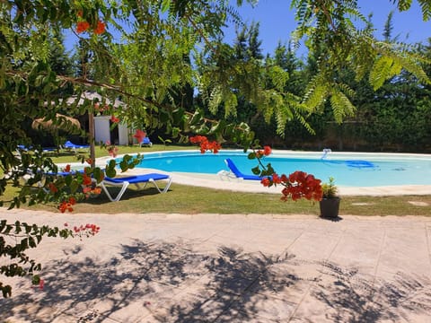 Garden, Swimming pool