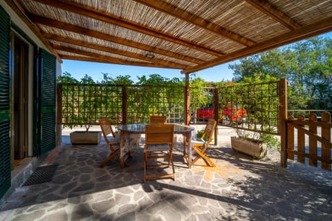 Patio, Day, Garden, Dining area