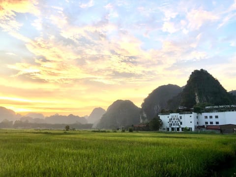 Property building, Natural landscape, Sunset