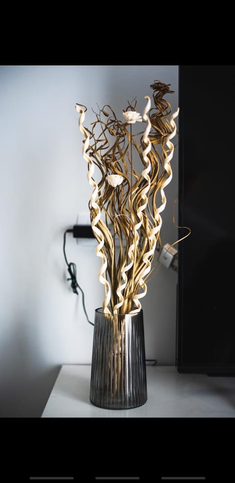 Apartman Dalmacija Apartment in Zadar