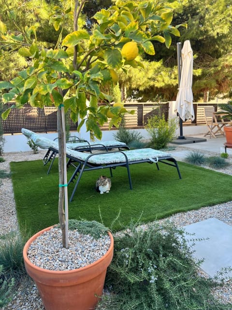 Natural landscape, Garden, Garden, Garden view, sunbed