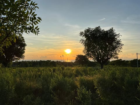 Villa Rosa East Bali Villa in Abang