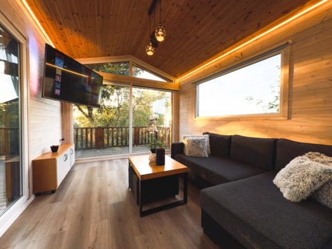 TV and multimedia, View (from property/room), Living room