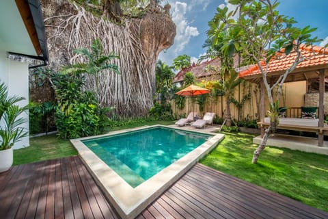 Natural landscape, Garden, Garden view, Pool view, Swimming pool, sunbed