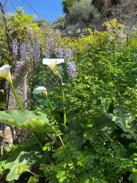 Maison le Rêve Bed and Breakfast in 06340 La Trinité, France