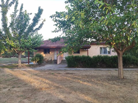 Property building, Day, Natural landscape, Garden, Garden view