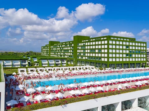Swimming pool, Swimming pool