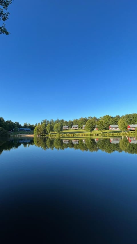 Lake view