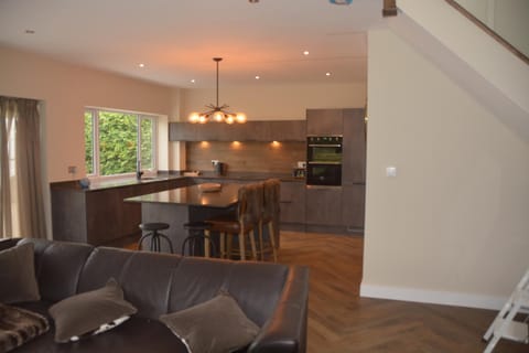 Living room, kitchen