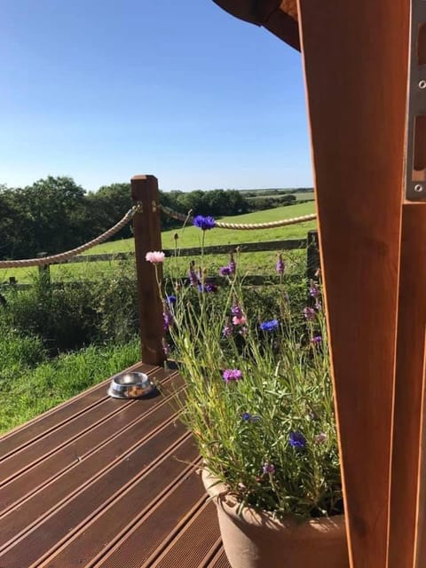 The Hobbit Hole Campground/ 
RV Resort in England