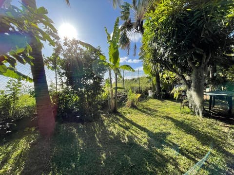 Garden, Garden view