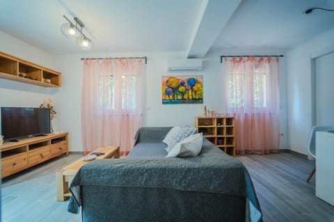 Bed, TV and multimedia