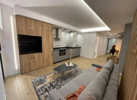 AGATA10-3I Apartment in Alicante