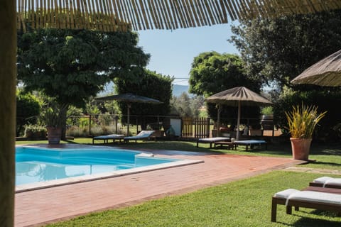 Day, Garden, Pool view, Swimming pool, Swimming pool, sunbed
