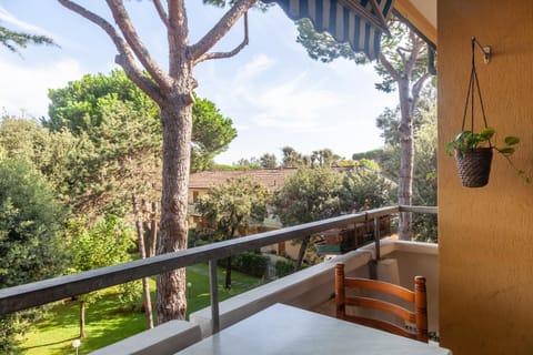 Casa Cesarina Apartment in Marina di Massa