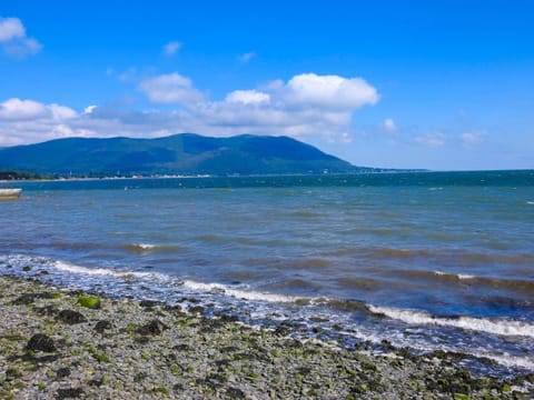 Nearby landmark, Beach