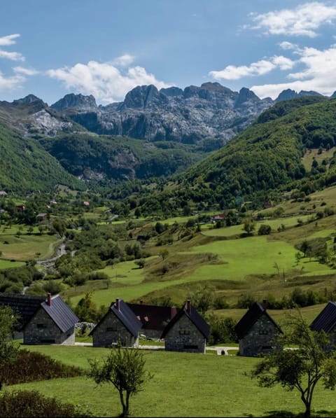 Vila Alpini Lepushe Villa in Montenegro