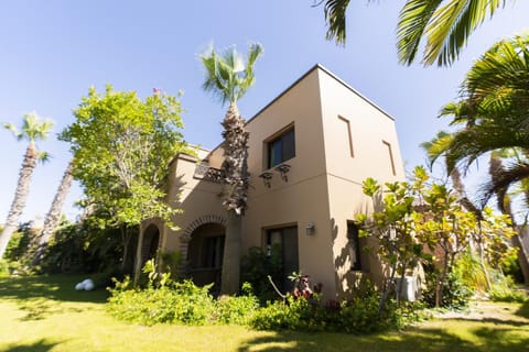 Property building, Spring, Day, Garden, Garden view