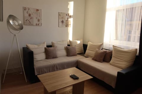 Living room, fireplace, air conditioner