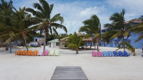 Day, Beach, On site