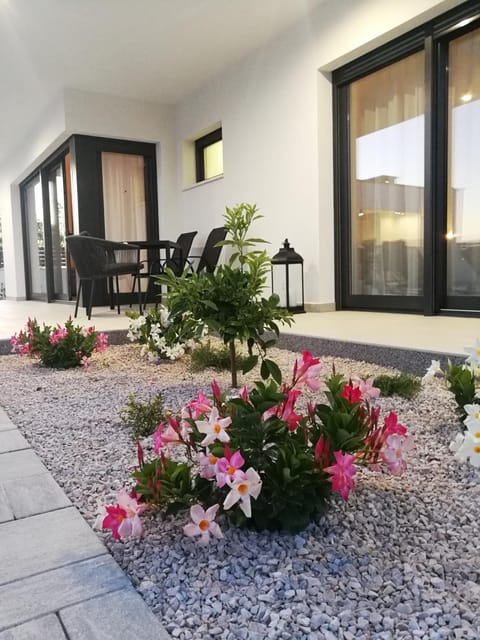 Patio, Garden