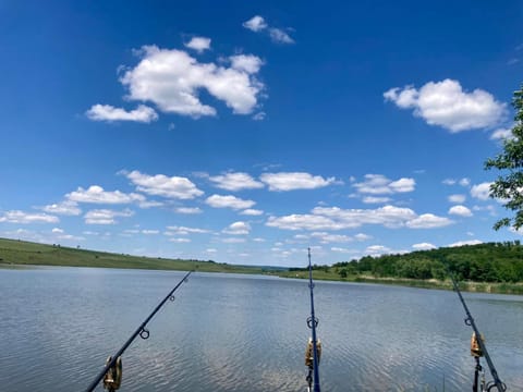Natural landscape, Fishing, Lake view