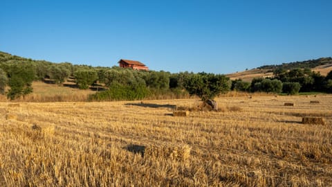 Natural landscape