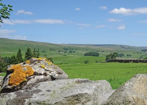Natural landscape