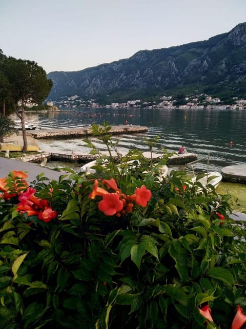 Apartments Radimir Apartment in Dobrota