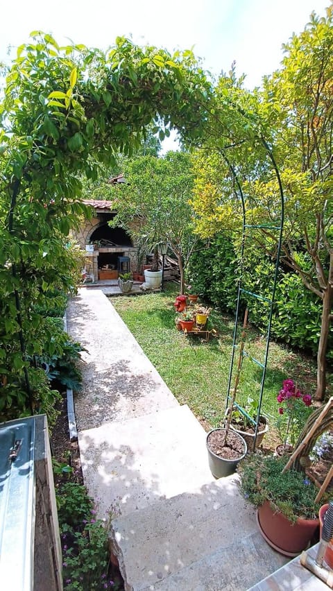 Day, Garden, Garden view