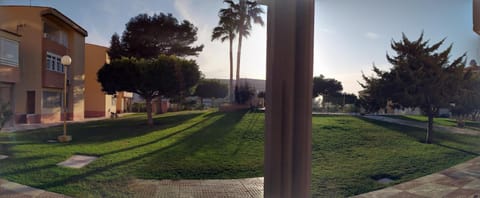 Garden, Sunset