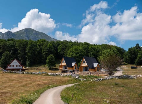 Apartments CENTER OF THE WORLD Nature lodge in Montenegro
