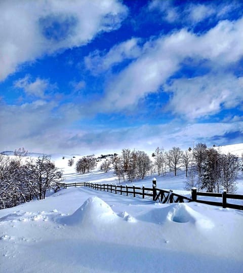 Casa Mila Zlatibor Villa in Zlatibor