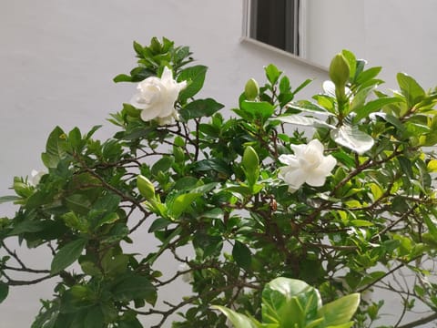 Η Ελπίδα και η Γιάννα ξεκίνησαν ένα χώρο cute Apartment in Volos