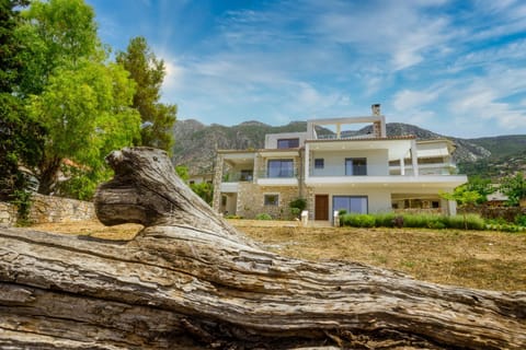 Property building, Neighbourhood, Natural landscape, Garden
