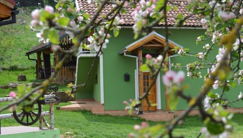 Property building, Spring, Garden