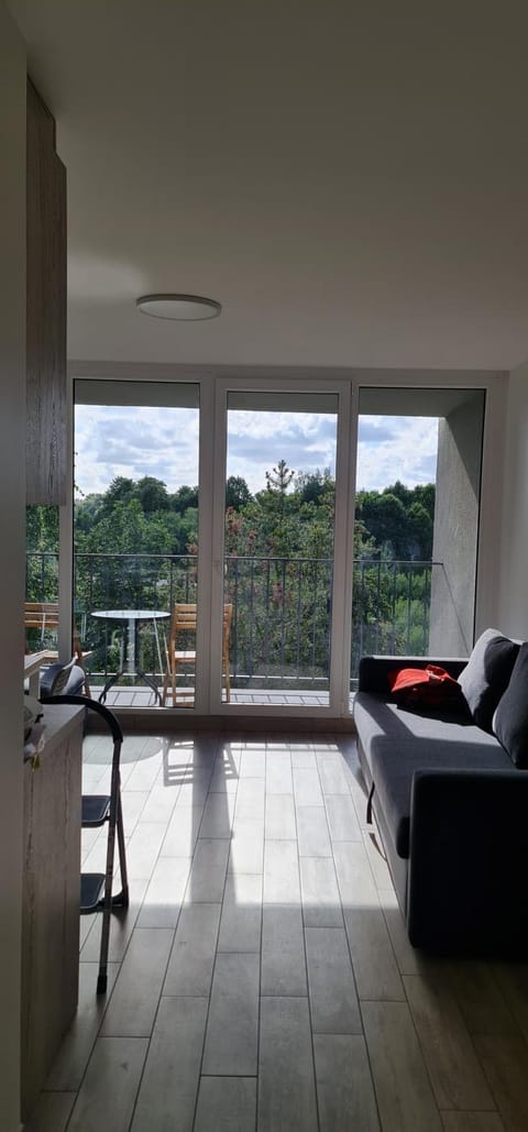 Vieno kambario butas studija Šventojoje Apartment in Palanga