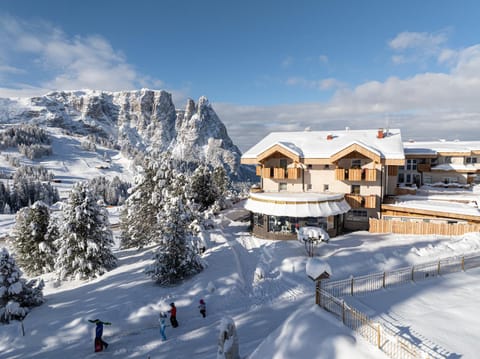 Property building, Winter, Mountain view, Swimming pool